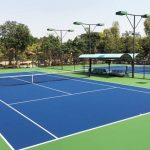 Lợi Nhuận Khủng: Làm Sân Pickleball Chỉ Với 450 Triệu VND