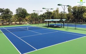 Read more about the article Lợi Nhuận Khủng: Làm Sân Pickleball Chỉ Với 450 Triệu VND